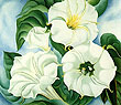 Georgia O'Keeffe : Jimson Weed 1936 : $269