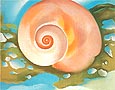 Georgia O'Keeffe : Pink Shell with Seaweed c1937 : $255