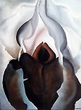 Georgia O'Keeffe : Black Iris : $269