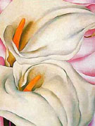 Georgia O'Keeffe : Two Cala Lilies on Pink : $265