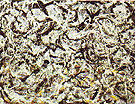 Jackson Pollock : Arc-en-ciels gris : $269