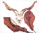 Georgia O'Keeffe : Ram's Skull with Brown Leaves : $269