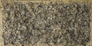 Jackson Pollock : Number 31 1950 : $289