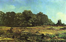 Alfred Sisley : Avenue of Chestnut Trees near La Celle Saint Cloud 1865 : $279