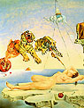 Salvador Dali : Dream Caused by Flight 1944 : $299