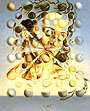 Salvador Dali : Galatea of the Spheres 1952 : $275